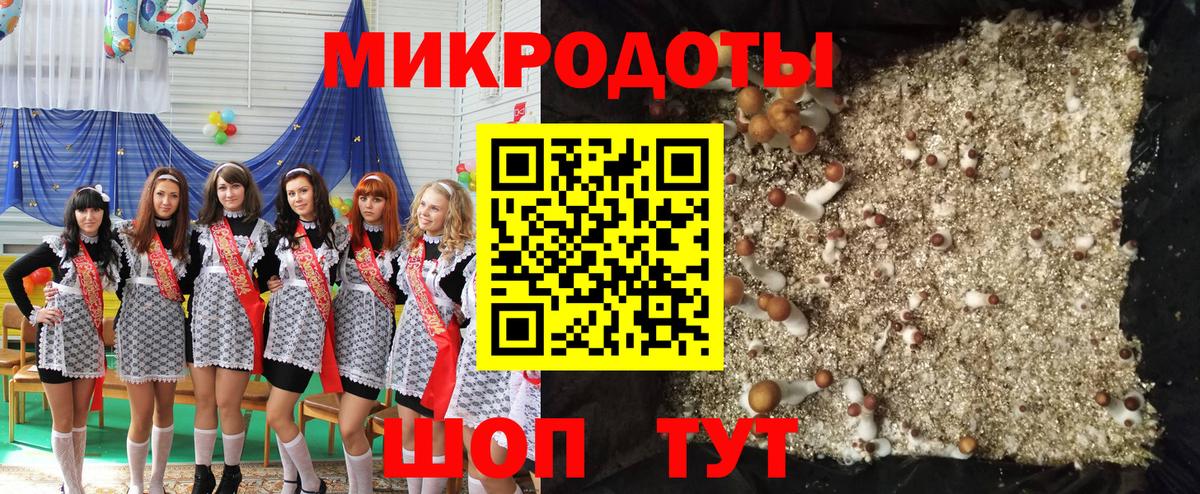 Псилоцибиновые грибы мухоморы Верхняя Салда